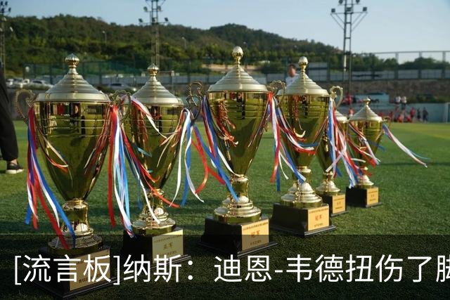 [流言板]纳斯：迪恩-韦德扭伤了脚踝，因为是季前赛未让他回归